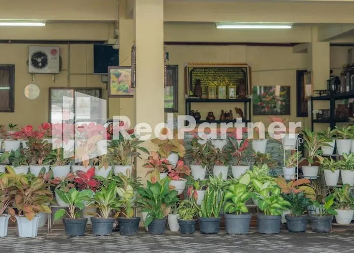Vandhela Homestay Syariah RedPartner Surabaya